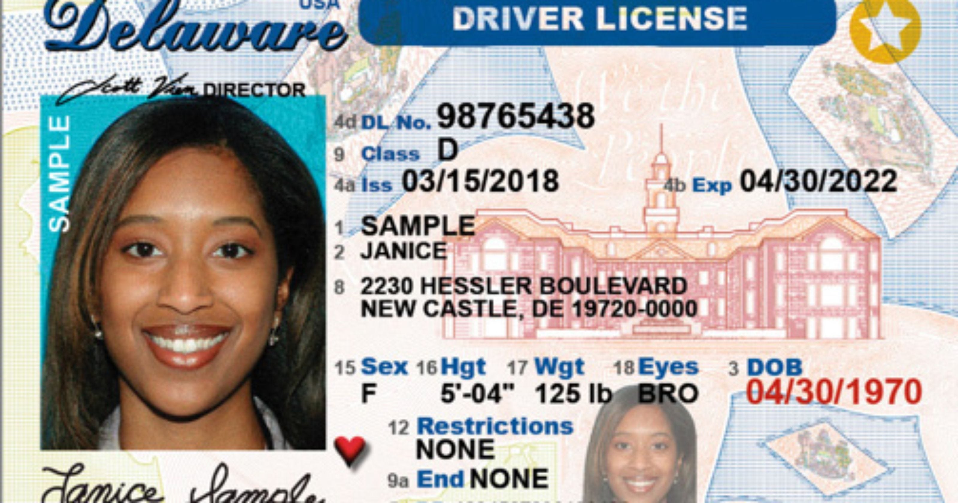 Barbados Driver'S License - phoenixloced